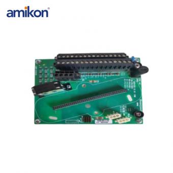 8C-TAOXB1 51307137-175